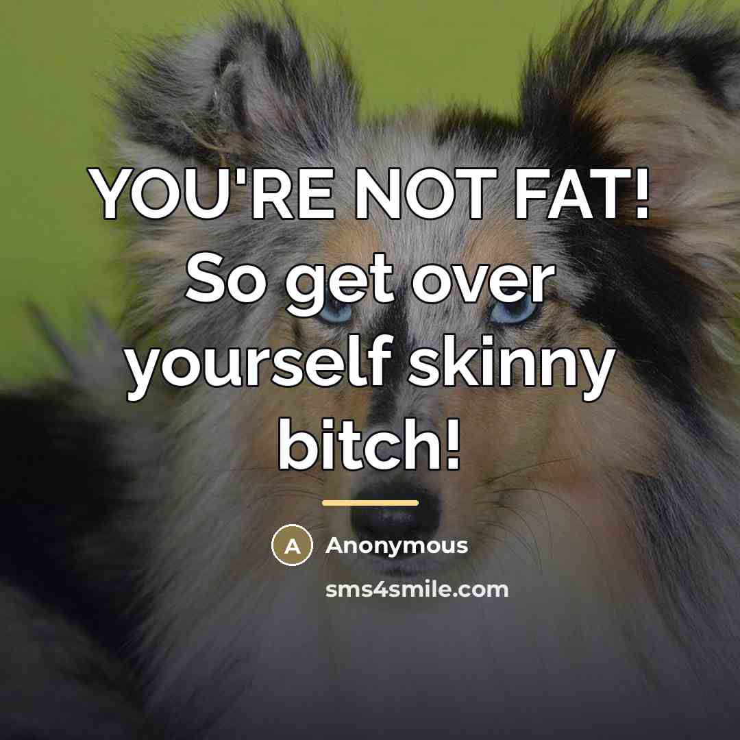 “YOU'RE NOT FAT! So get over yourself skinny bitch!…” quote by Anonymous