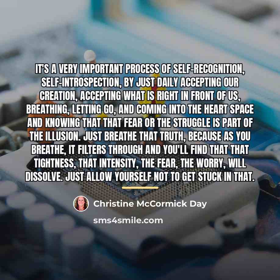 “It's a very important process of self-recognition, self-introspection, by just…” quote by Christine McCormick Day
