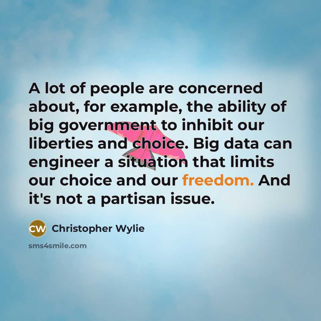 “A lot of people are concerned about, for example, the…” quote by Christopher Wylie