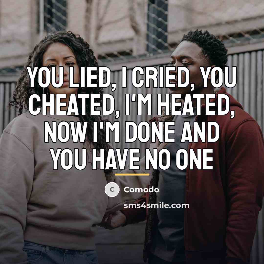 “You lied, I cried, you cheated, I'm heated, now I'm…” quote by Comodo