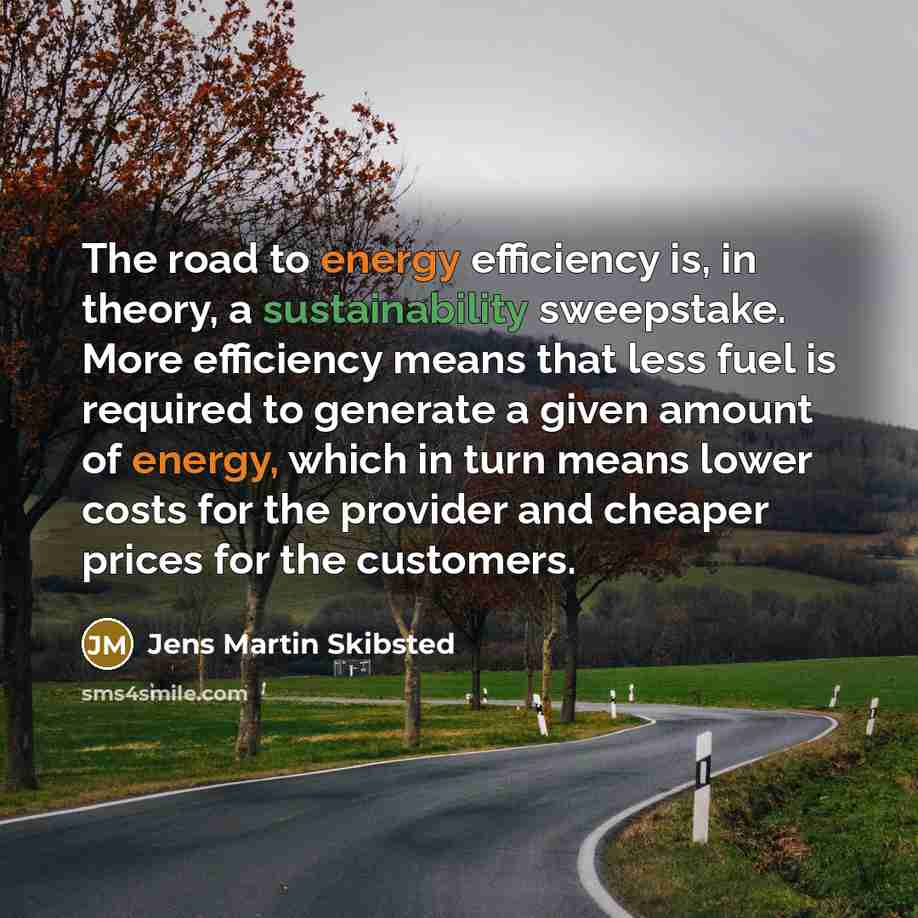 “The road to energy efficiency is, in theory, a sustainability sweepstake. More efficiency means that less fuel is required to generate a given amount of energy, which in turn means lower costs for the provider and cheaper prices for the customers.” quote by Jens Martin Skibsted
