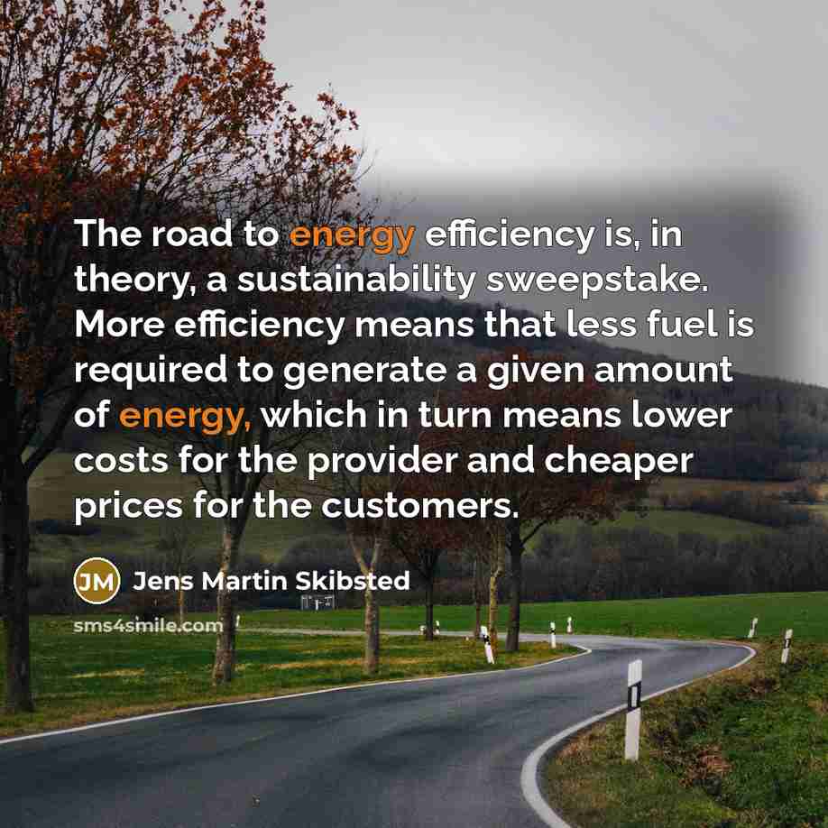 “The road to energy efficiency is, in theory, a sustainability…” quote by Jens Martin Skibsted