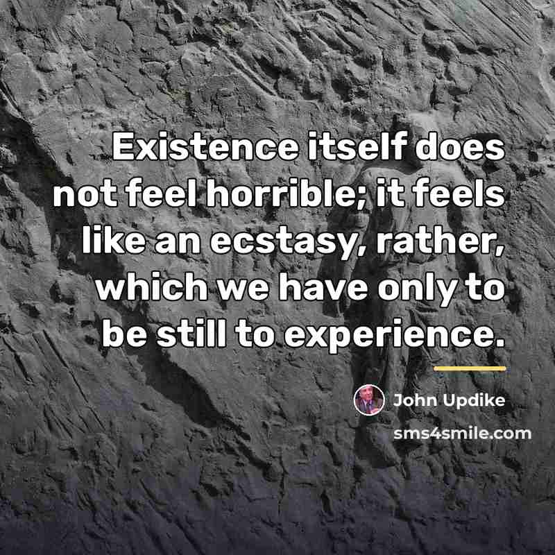“Existence itself does not feel horrible; it feels like an…” quote by John Updike