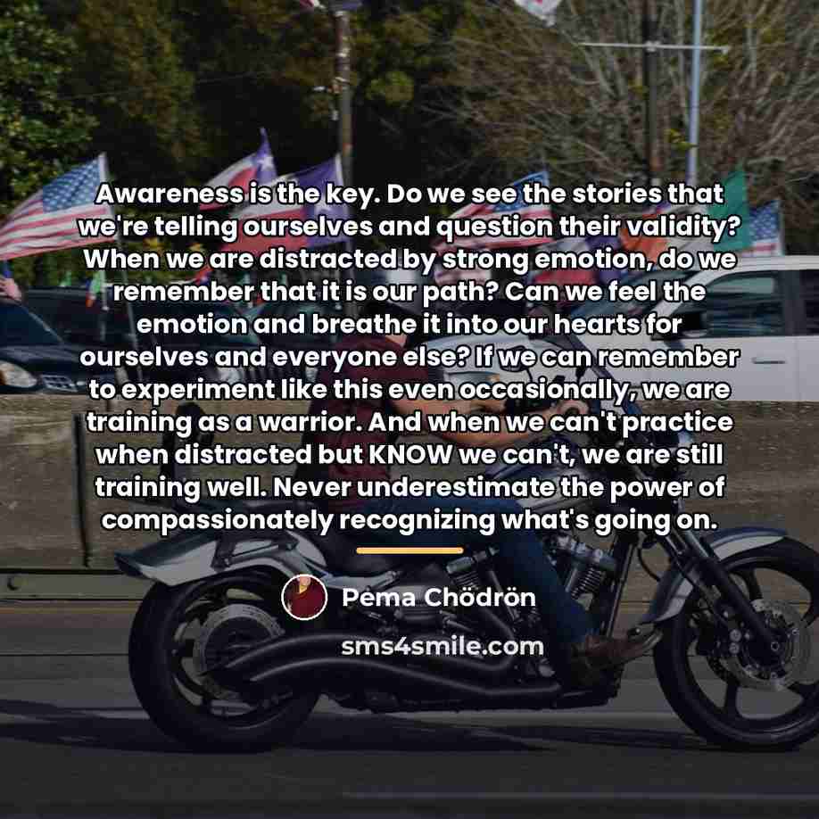 “Awareness is the key. Do we see the stories that…” quote by Pema Chodron