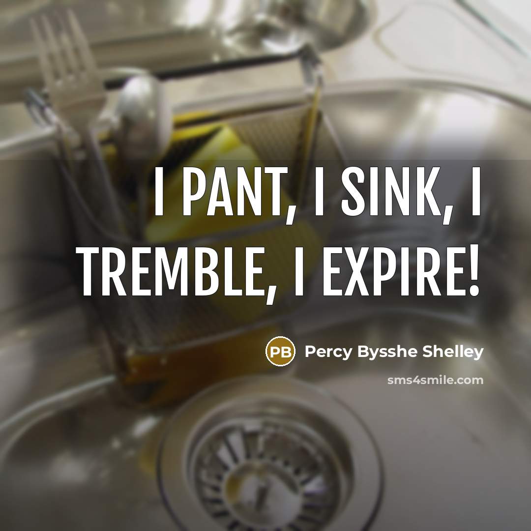 “I pant, I sink, I tremble, I expire!” quote by Percy Bysshe Shelley