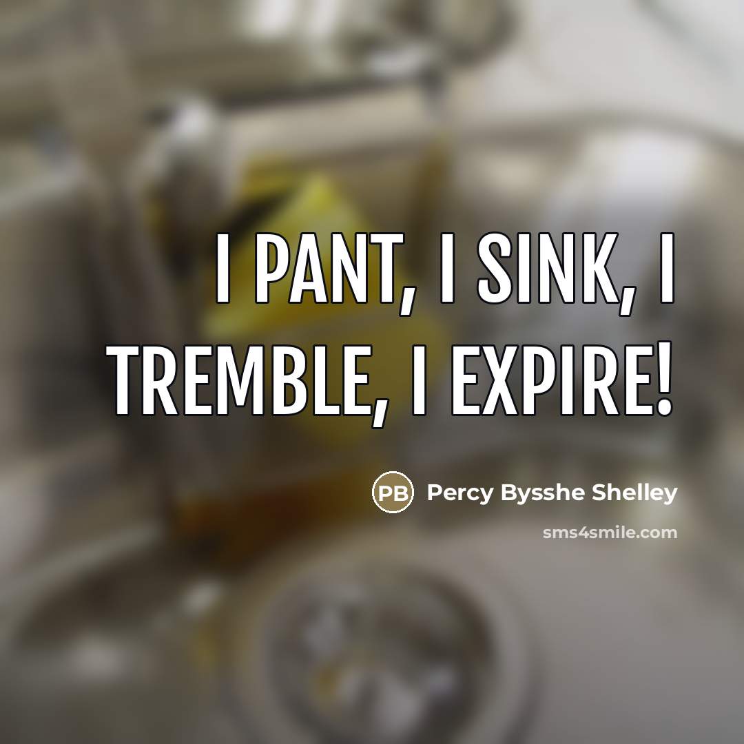 “I pant, I sink, I tremble, I expire!…” quote by Percy Bysshe Shelley