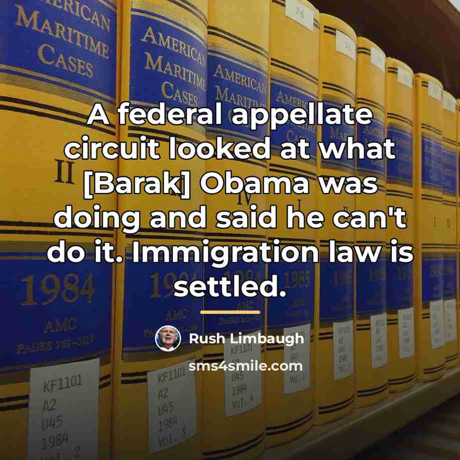 “A federal appellate circuit looked at what [Barak] Obama was…” quote by Rush Limbaugh