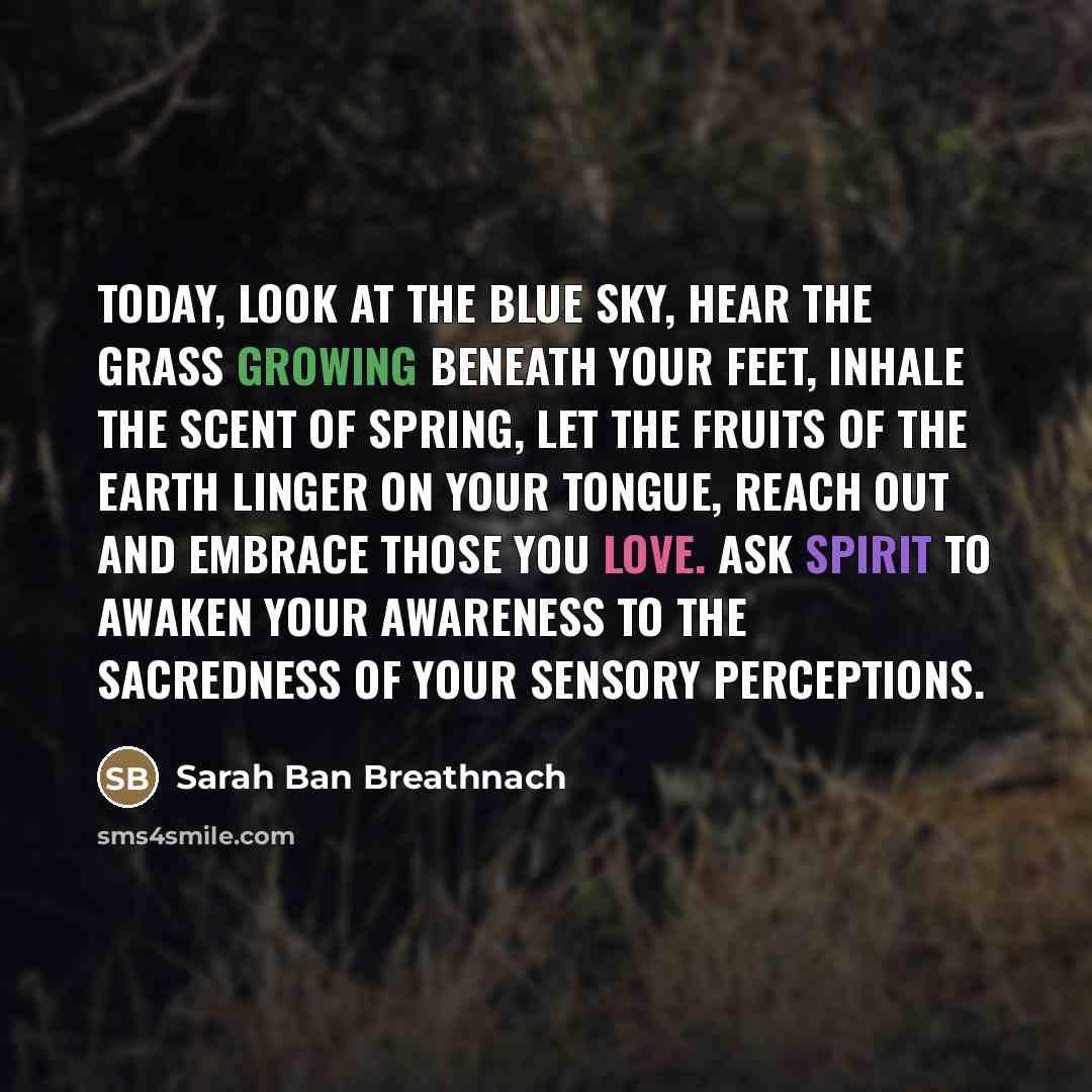 “Today, look at the blue sky, hear the grass growing…” quote by Sarah Ban Breathnach