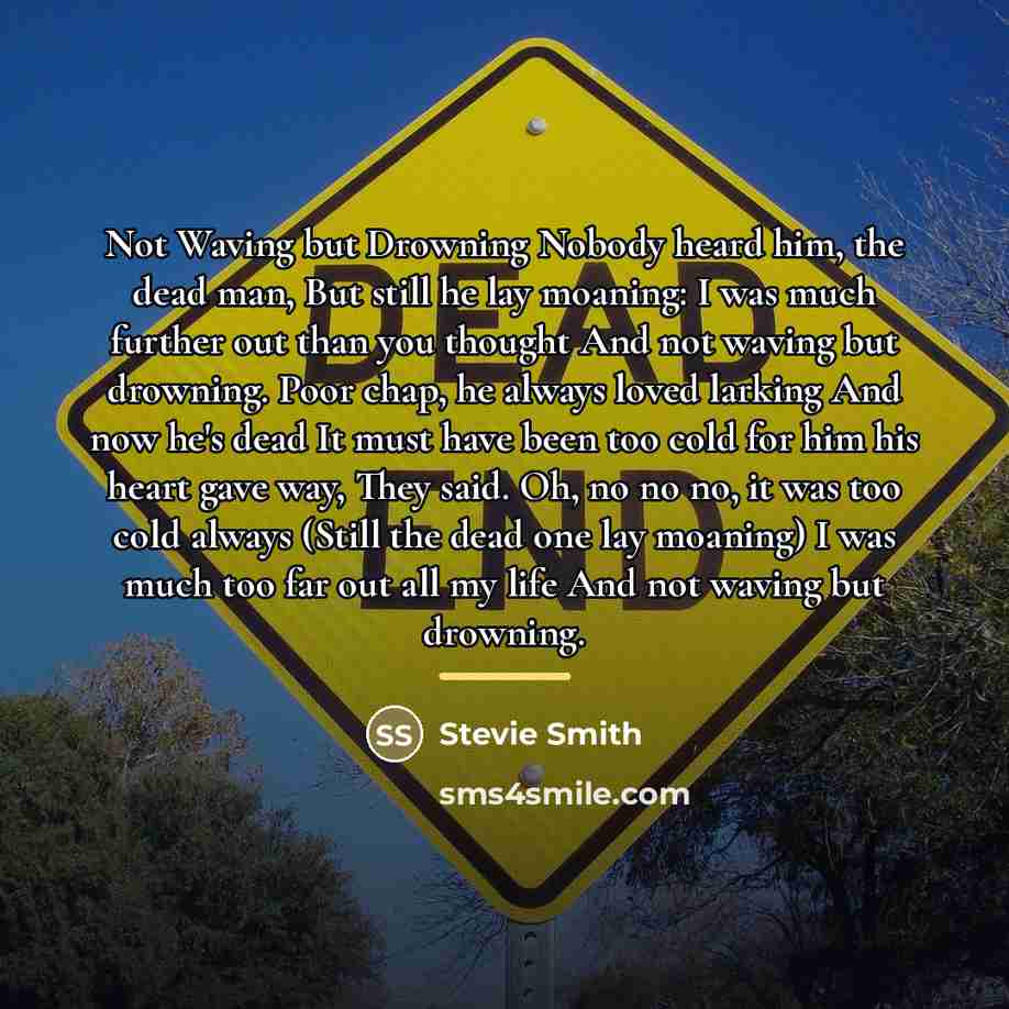 “Not Waving but Drowning Nobody heard him, the dead man,…” quote by Stevie Smith