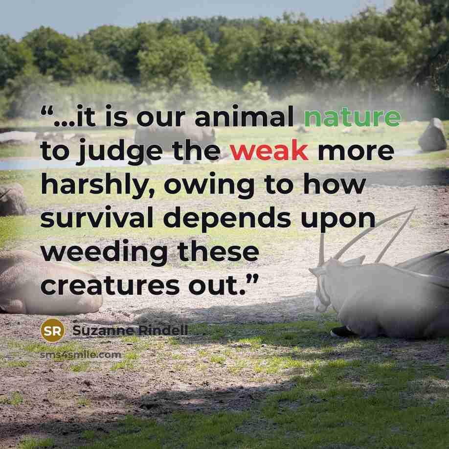 “...it is our animal nature to judge the weak more harshly, owing to how survival depends upon weeding these creatures out.” quote by Suzanne Rindell