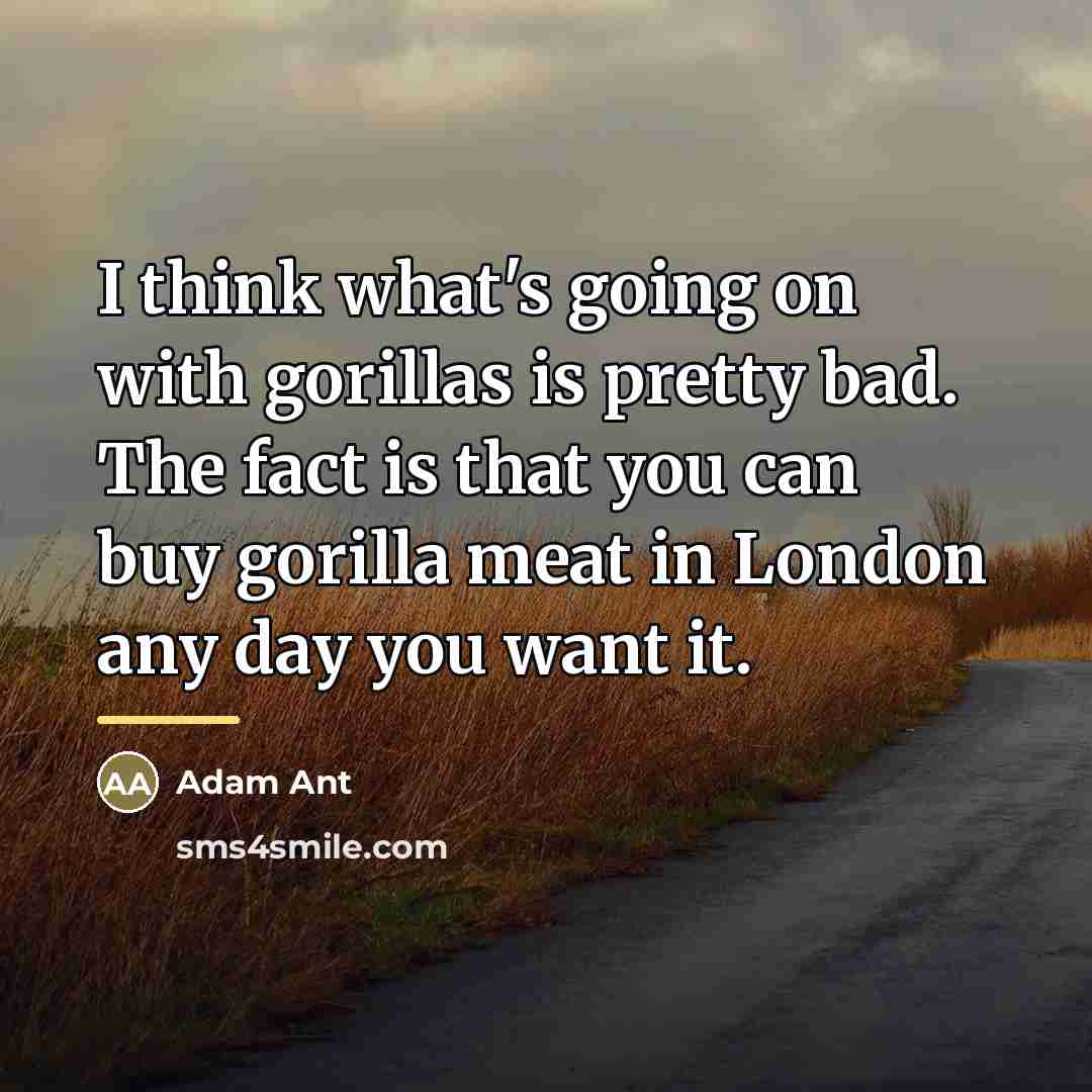 “I think what's going on with gorillas is pretty bad.…” quote by Adam Ant