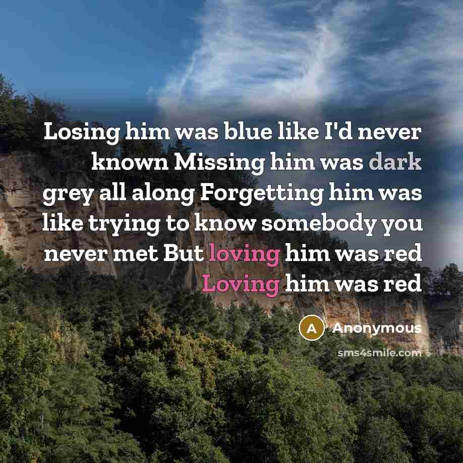 “Losing him was blue like I'd never known Missing him was dark grey all along Forgetting him was like trying to know somebody you never met But loving him was red Loving him was red” quote by Anonymous