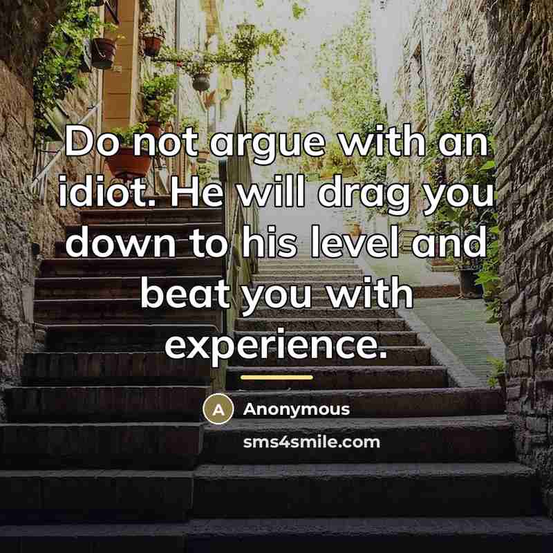 “Do not argue with an idiot. He will drag you…” quote by Anonymous