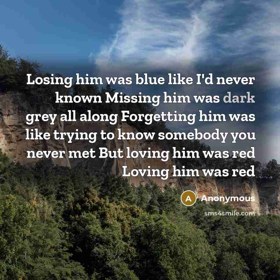“Losing him was blue like I'd never known Missing him was dark grey all along Forgetting him was like trying to know somebody you never met But loving him was red Loving him was red” quote by Anonymous