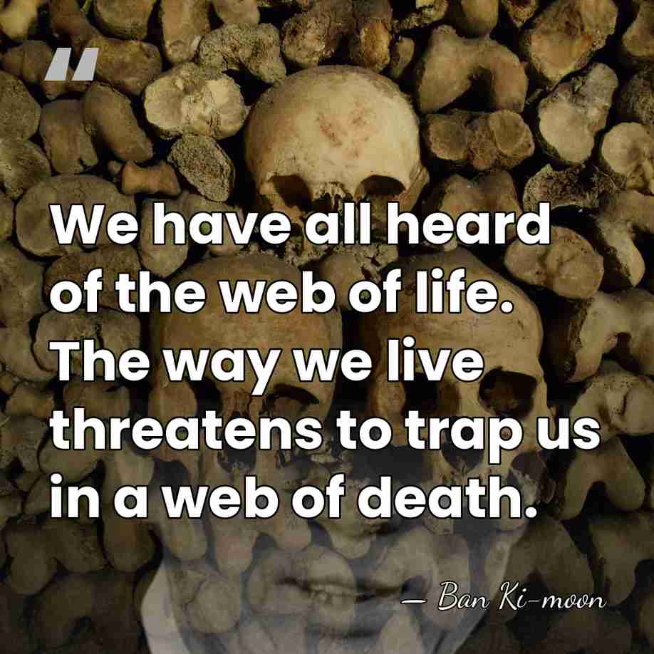 We have all heard of the web of life. The way we&hellip; - Ban Ki-moon