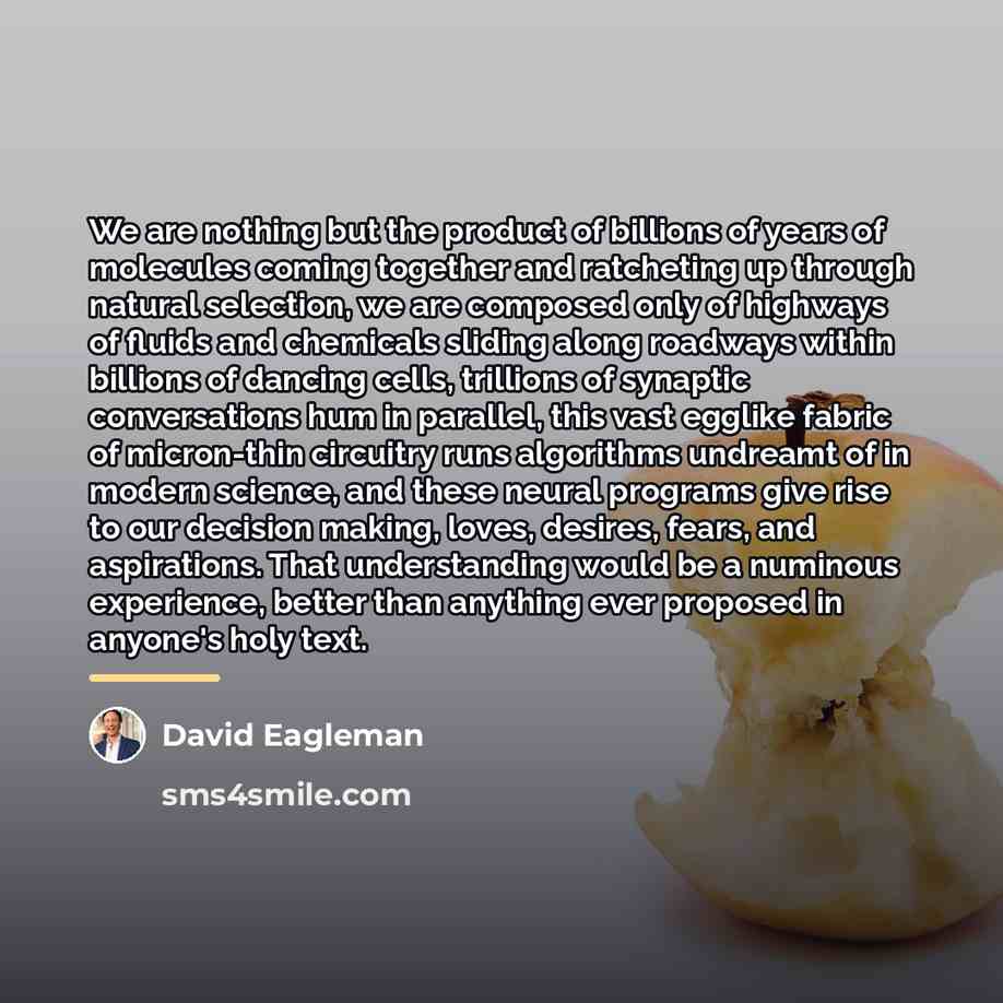 “We are nothing but the product of billions of years…” quote by David Eagleman