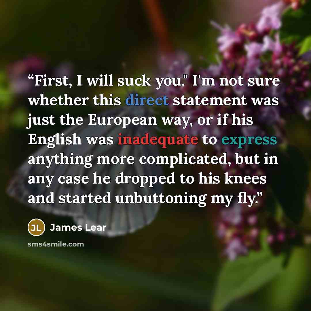 “First, I will suck you." I'm not sure whether this direct statement was just the European way, or if his English was inadequate to express anything more complicated, but in any case he dropped to his knees and started unbuttoning my fly.” quote by James Lear