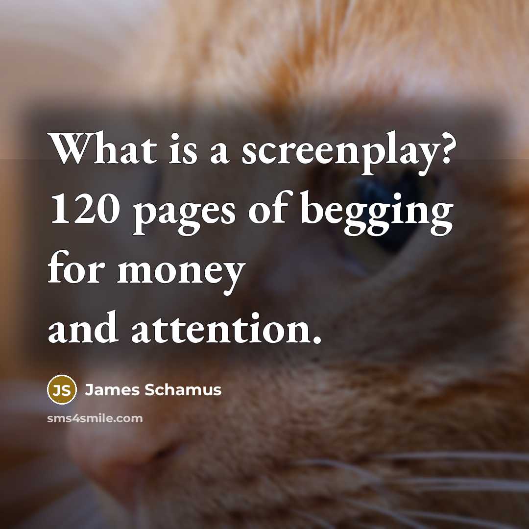 “What is a screenplay? 120 pages of begging for money…” quote by James Schamus
