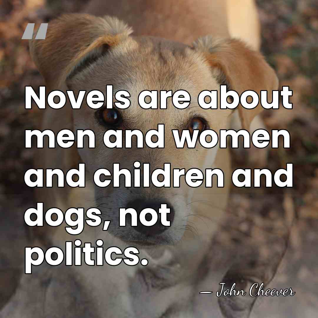 Novels are about men and women and children and dogs, not politics. - John Cheever