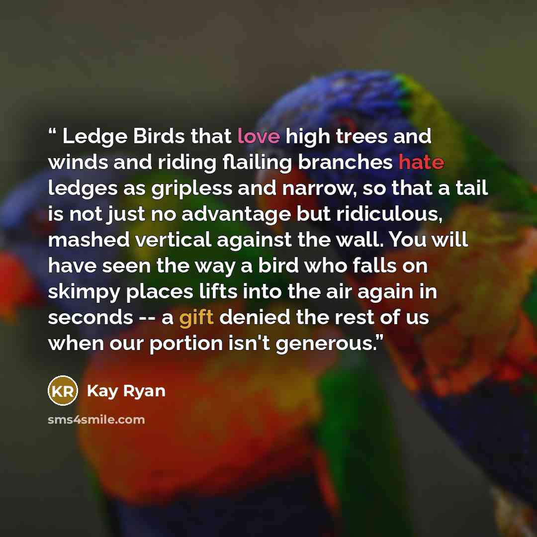 “Ledge Birds that love high trees and winds and riding flailing branches hate ledges as gripless and narrow, so that a tail is not just no advantage but ridiculous, mashed vertical against the wall. You will have seen the way a bird who falls on skimpy places lifts into the air again in seconds…” quote by Kay Ryan
