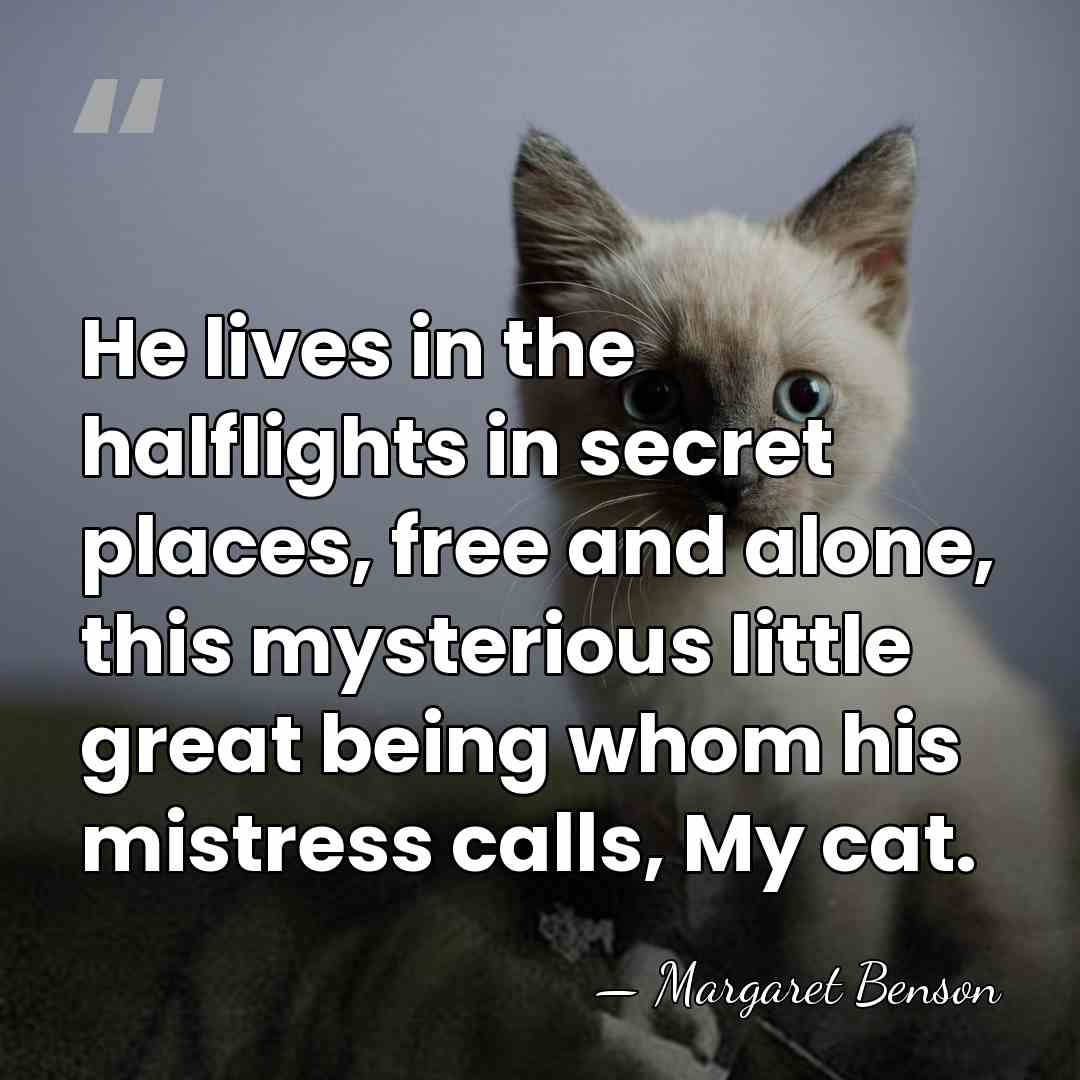 He lives in the halflights in secret places, free and alone, this&hellip; - Margaret Benson