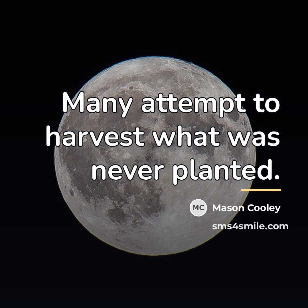 “Many attempt to harvest what was never planted.…” quote by Mason Cooley