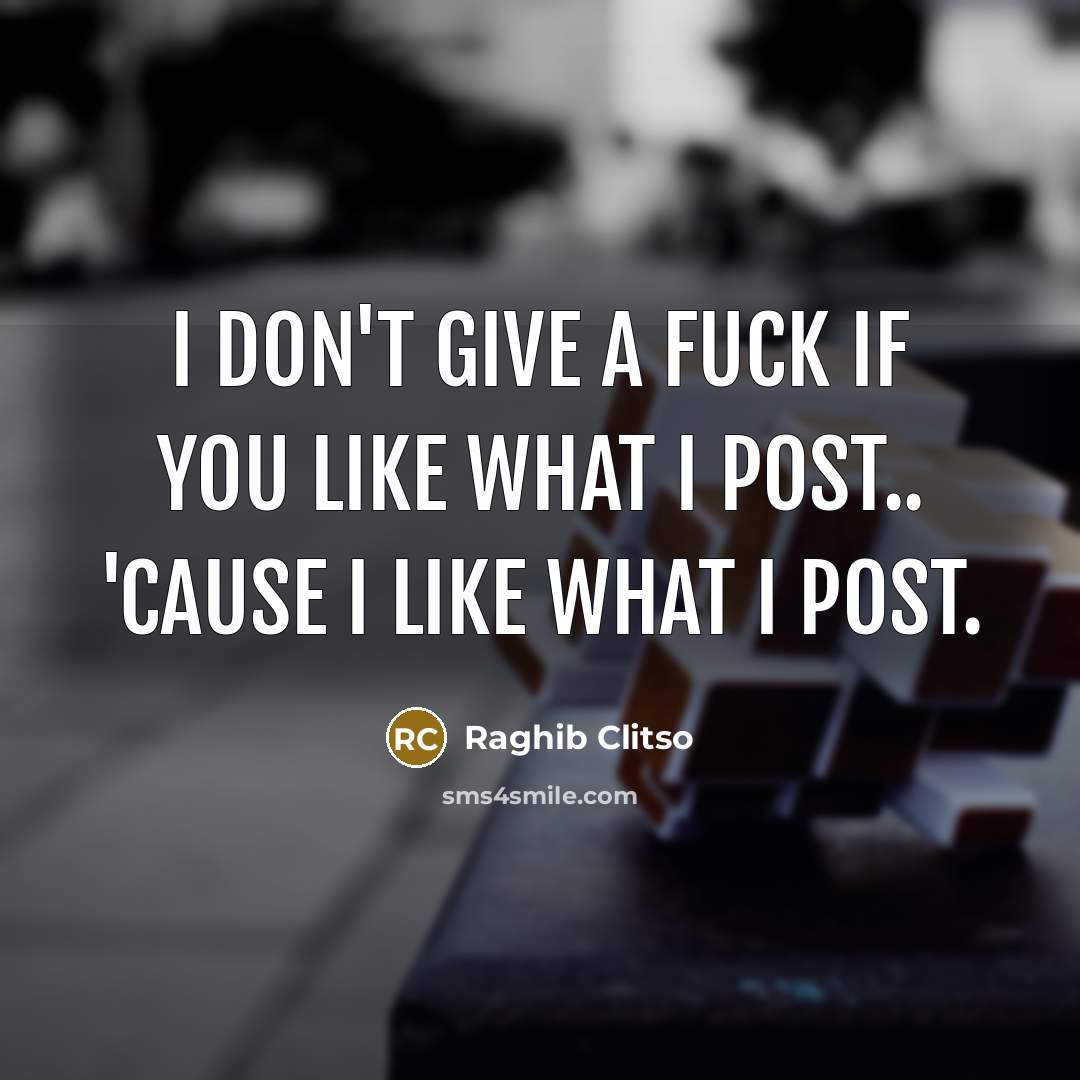 “I don't give a fuck if you like what I…” quote by Raghib Clitso
