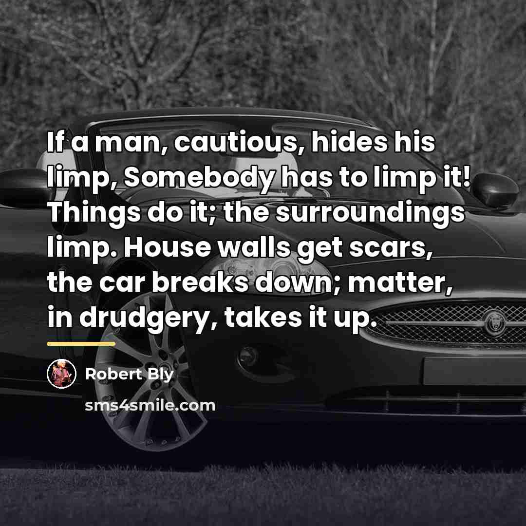 “If a man, cautious, hides his limp, Somebody has to…” quote by Robert Bly