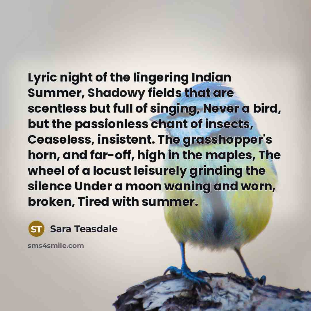 “Lyric night of the lingering Indian Summer, Shadowy fields that…” quote by Sara Teasdale