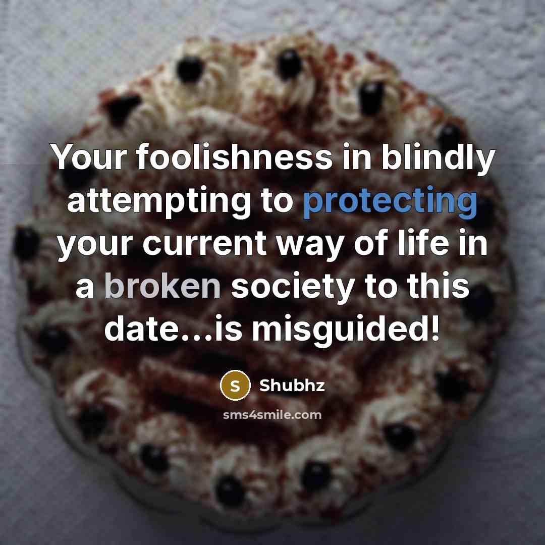 “Your foolishness in blindly attempting to protecting your current way of life in a broken society to this date...is misguided!” quote by Shubhz
