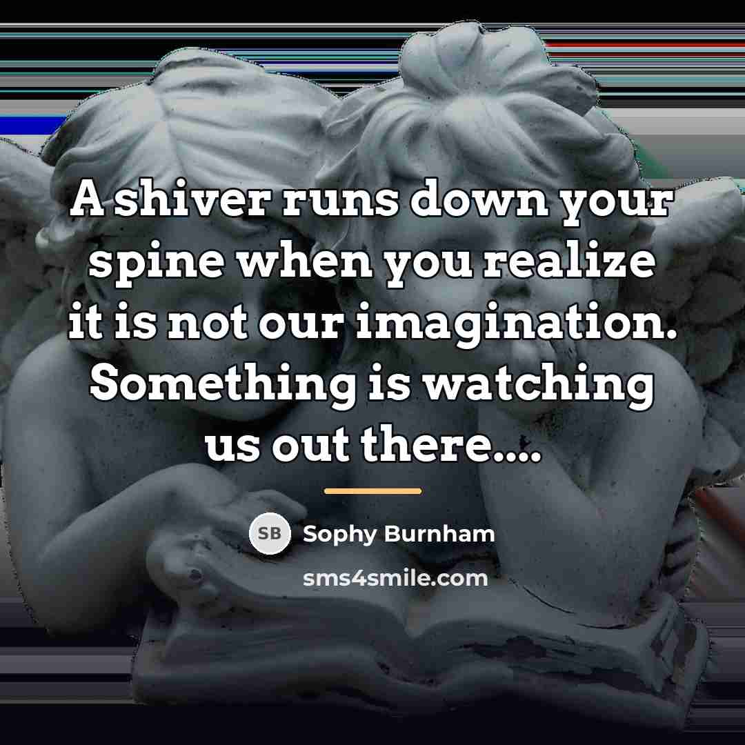 “A shiver runs down your spine when you realize it…” quote by Sophy Burnham