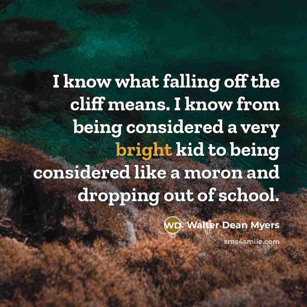 “I know what falling off the cliff means. I know…” quote by Walter Dean Myers