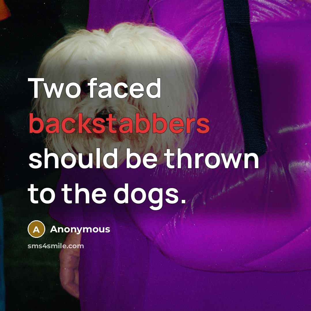 “Two faced backstabbers should be thrown to the dogs.” quote by Anonymous