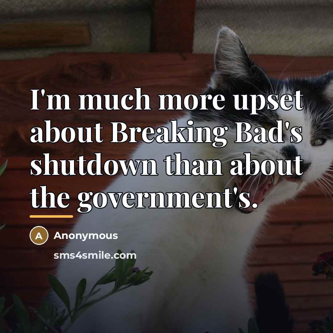 “I'm much more upset about Breaking Bad's shutdown than about…” quote by Anonymous