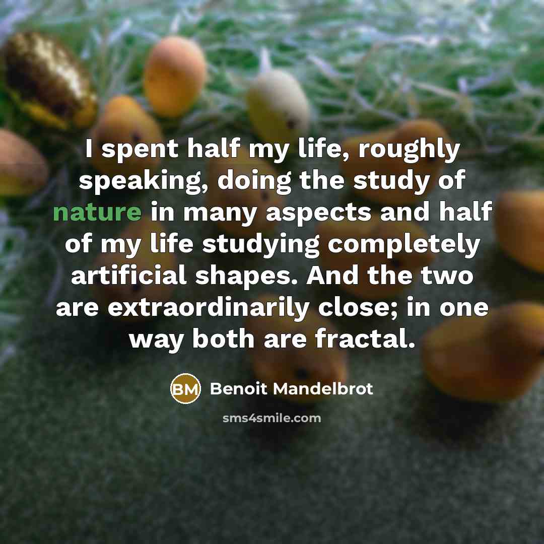 “I spent half my life, roughly speaking, doing the study…” quote by Benoit Mandelbrot