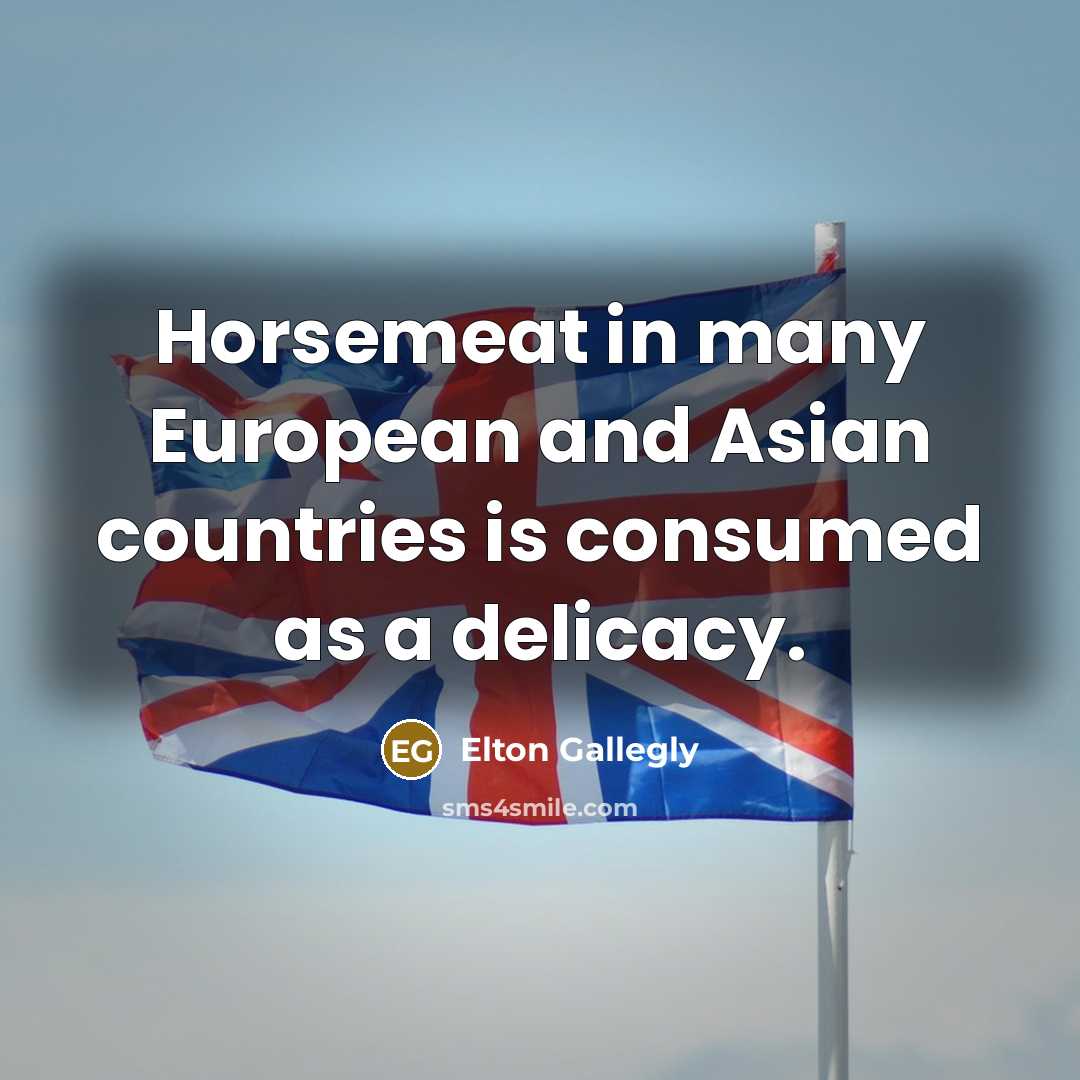 “Horsemeat in many European and Asian countries is consumed as…” quote by Elton Gallegly