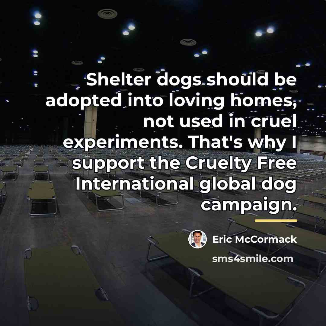 “Shelter dogs should be adopted into loving homes, not used…” quote by Eric McCormack