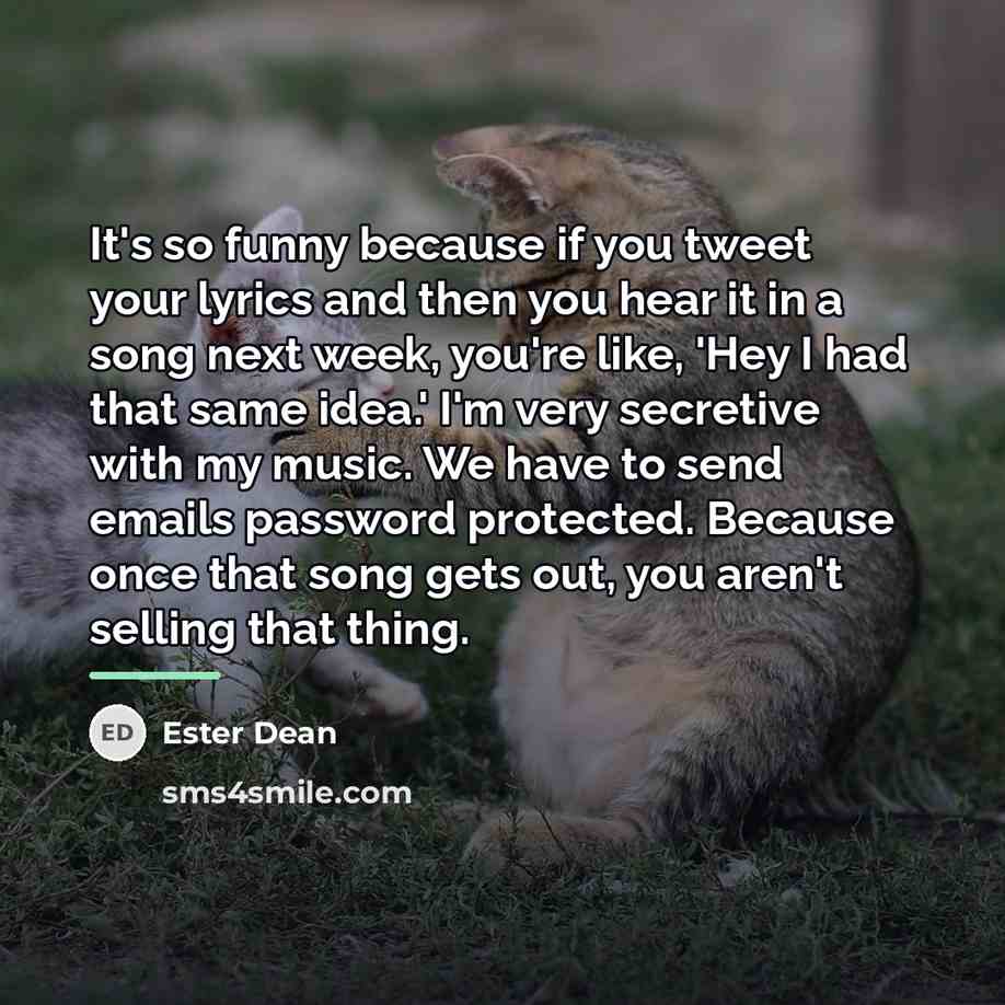 “It's so funny because if you tweet your lyrics and…” quote by Ester Dean