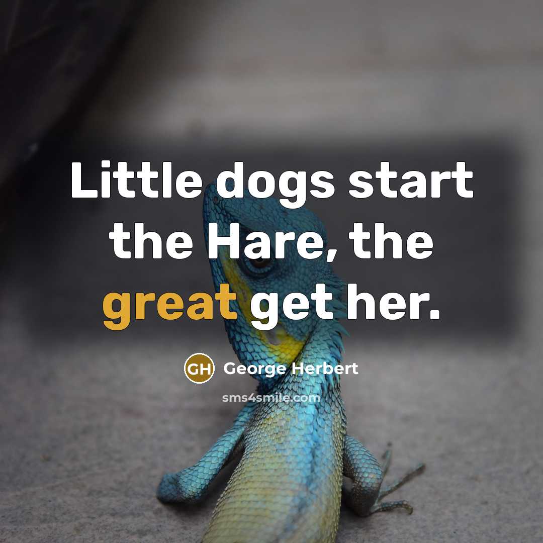 “Little dogs start the Hare, the great get her.” quote by George Herbert