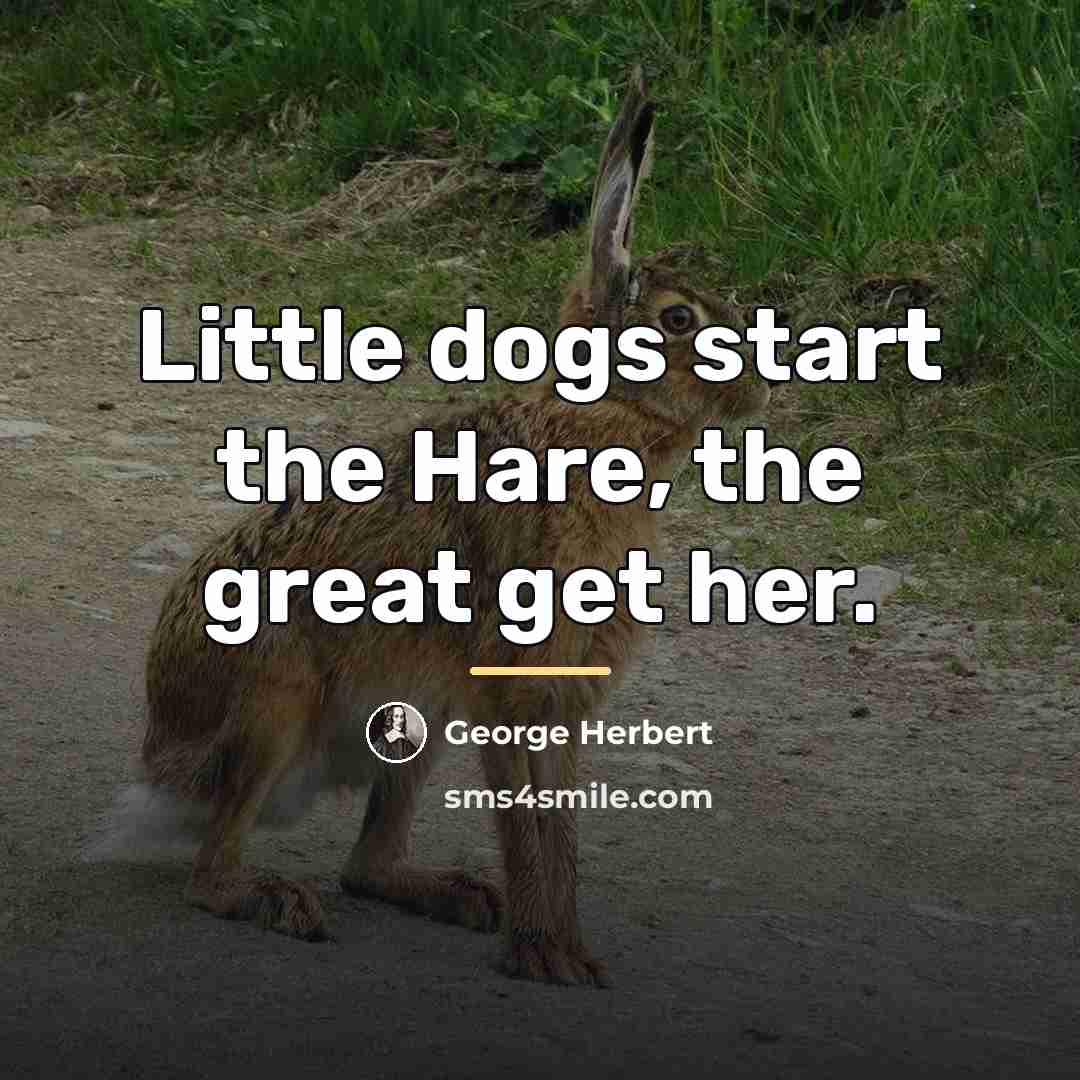 “Little dogs start the Hare, the great get her.…” quote by George Herbert