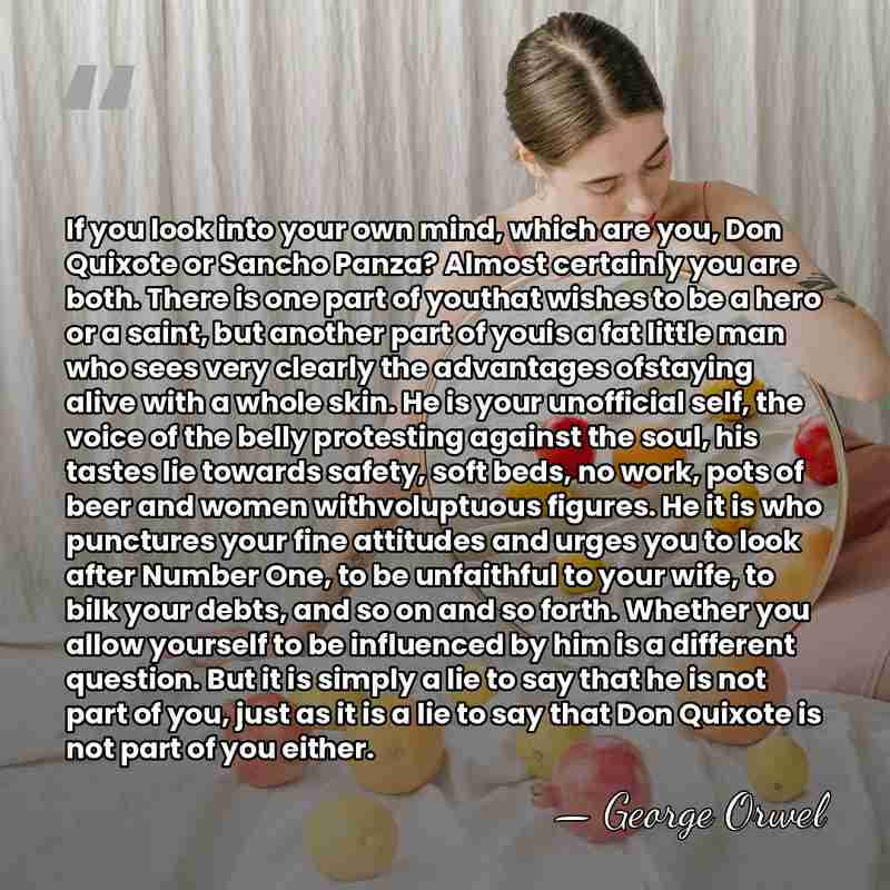 If you look into your own mind, which are you, Don Quixote&hellip; - George Orwel