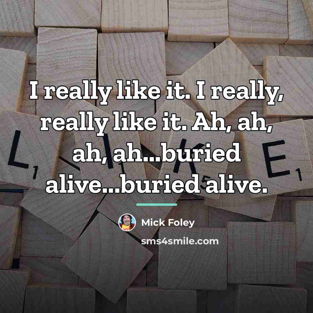 “I really like it. I really, really like it. Ah,…” quote by Mick Foley