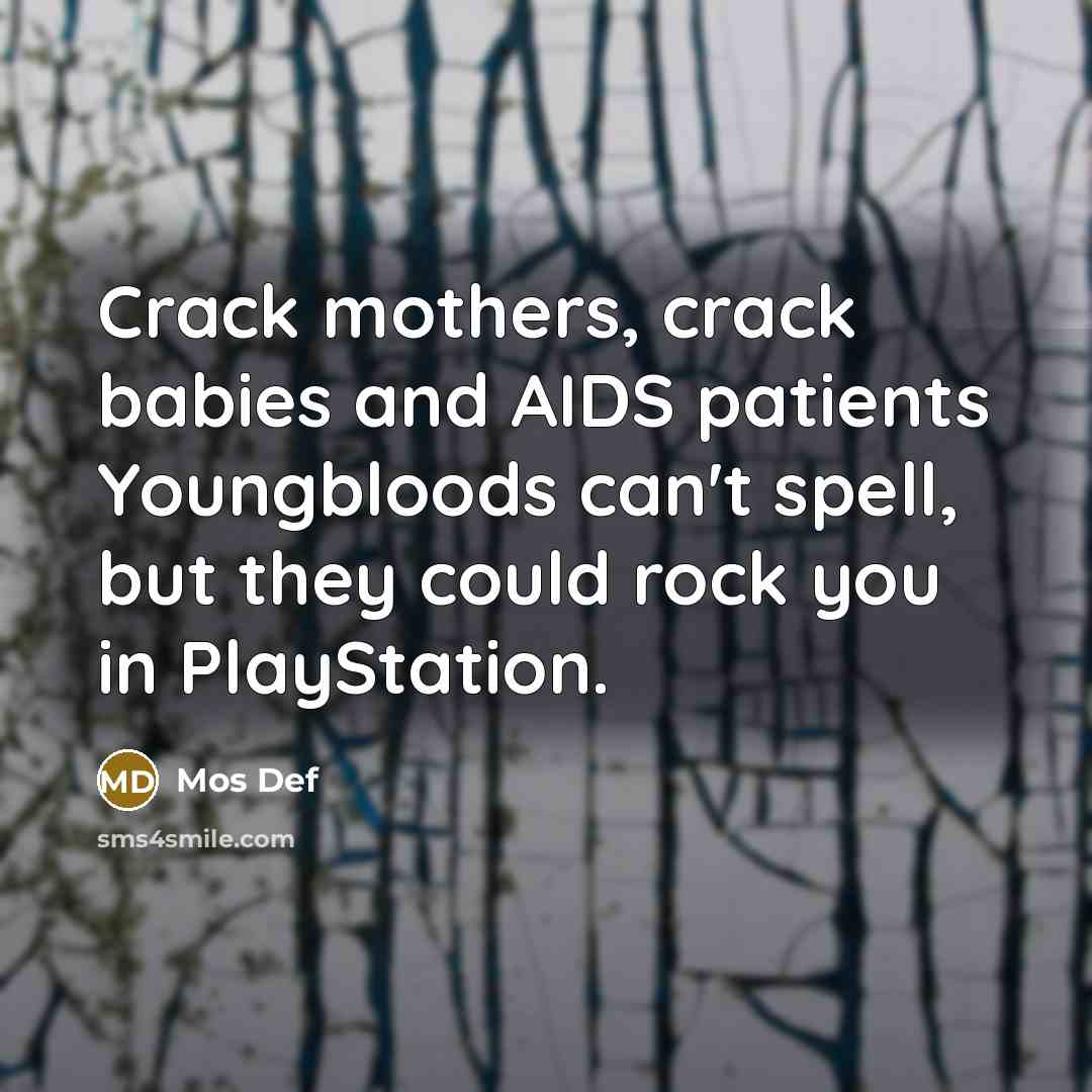 “Crack mothers, crack babies and AIDS patients Youngbloods can't spell,…” quote by Mos Def