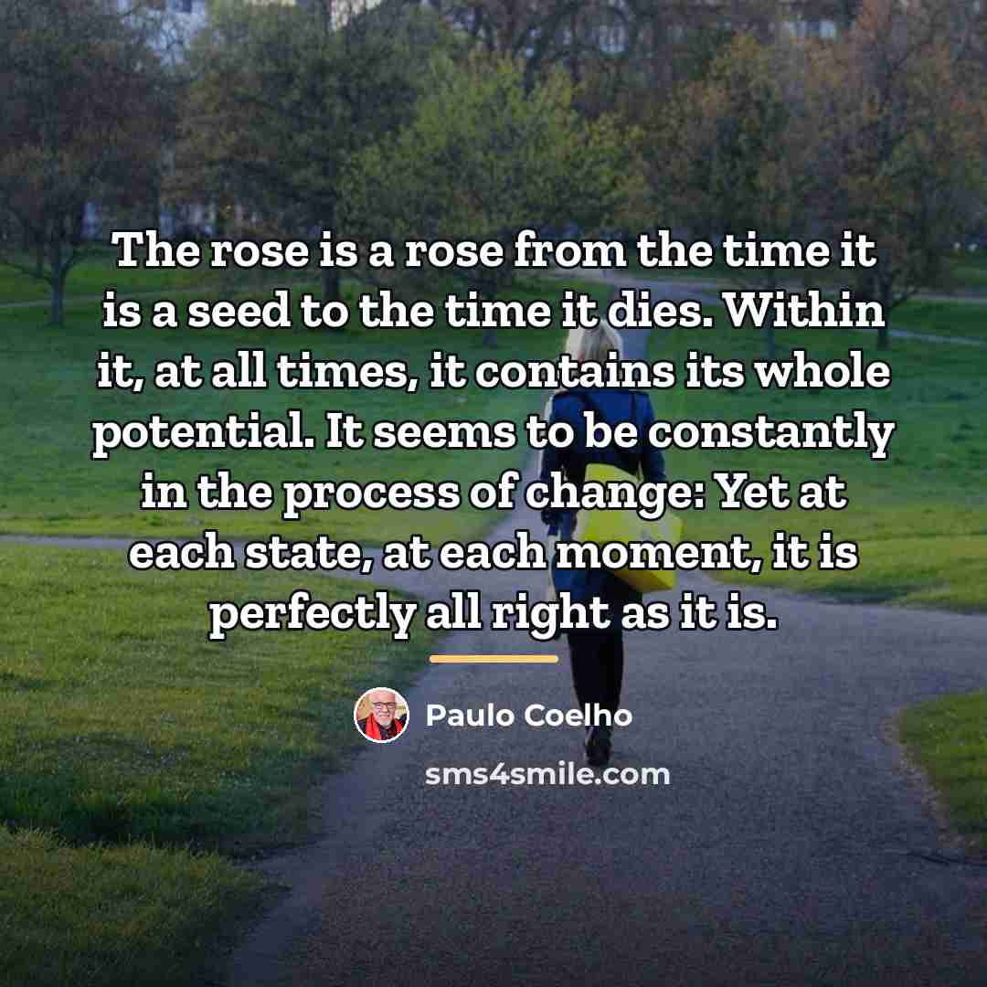 “The rose is a rose from the time it is…” quote by Paulo Coelho