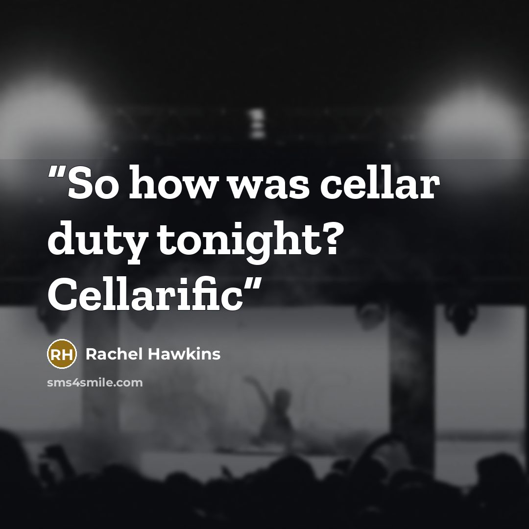 “So how was cellar duty tonight? Cellarific” quote by Rachel Hawkins