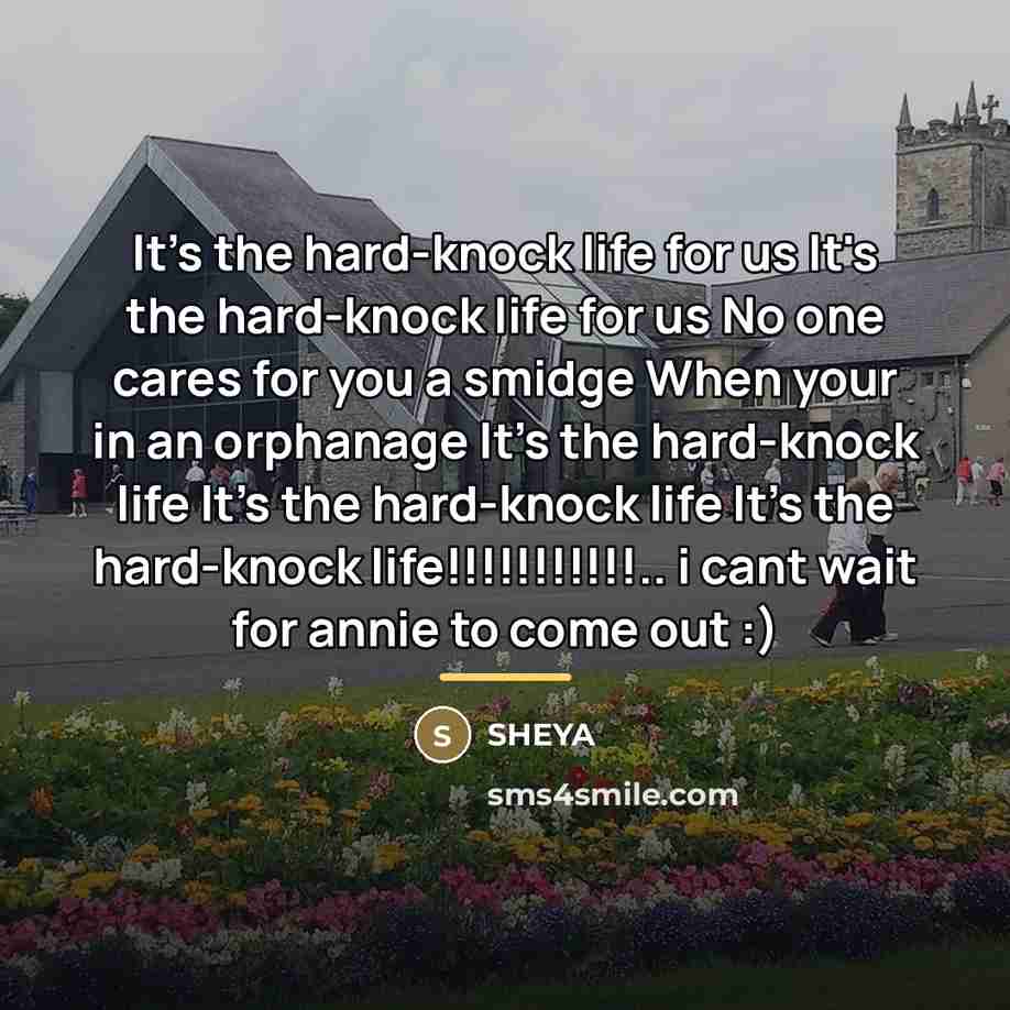 “It's the hard-knock life for us It's the hard-knock life…” quote by SHEYA