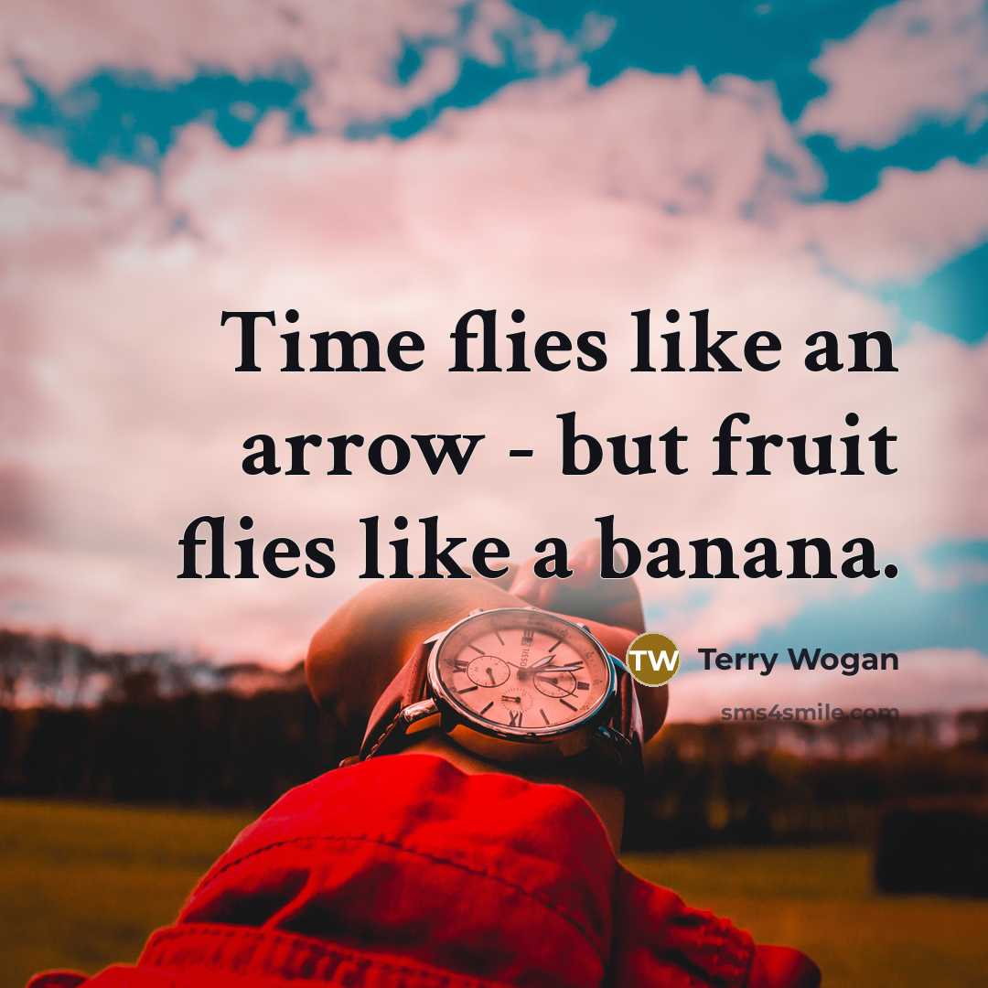“Time flies like an arrow - but fruit flies like…” quote by Terry Wogan