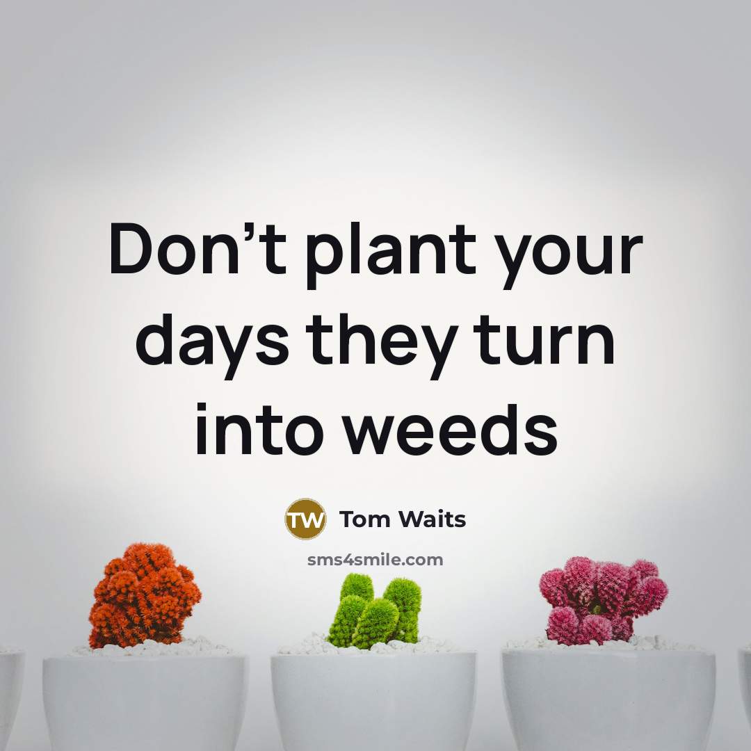 “Don't plant your days they turn into weeds…” quote by Tom Waits