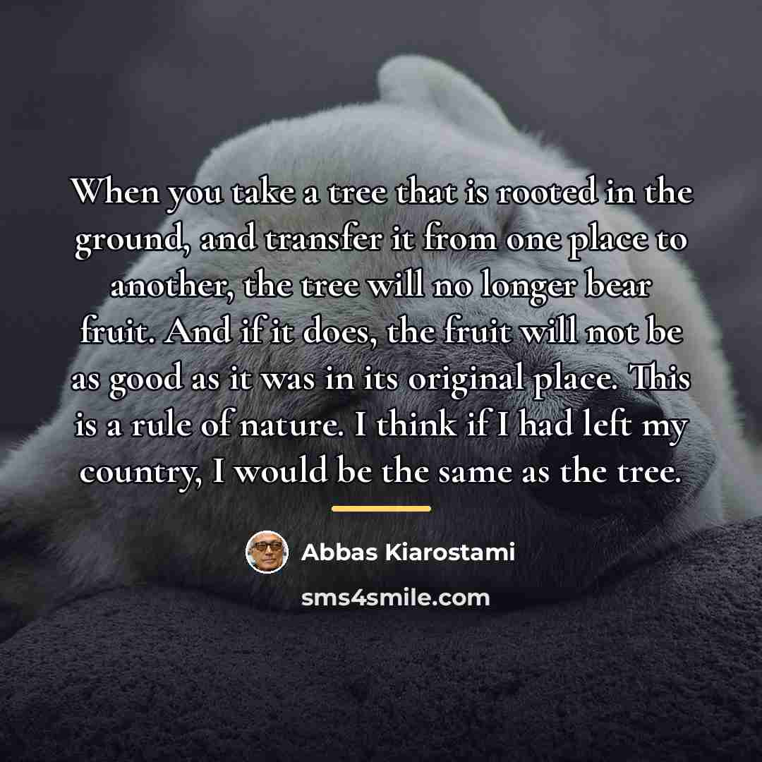 “When you take a tree that is rooted in the…” quote by Abbas Kiarostami