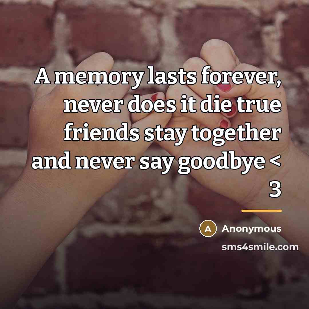 “A memory lasts forever, never does it die true friends…” quote by Anonymous